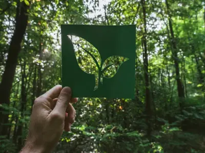 Predictions for Future Uses of Vinyl and the Importance of Sustainability